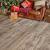 Каменно-полимерная плитка SPC Alpine floor Grand Sequoia Light ECO 11-801 Венге Грей