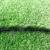 Искусственная трава Роял Тафт Grass Spring