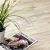 Клеевая пвх плитка Alpine floor Easy line ECO 3-4 дуб ваниль