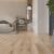 Клеевая ПВХ плитка CronaFloor Wood LVT Дуб Фрейзер 011
