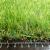 Искусственная трава Turf grass 30 Искусственная трава Turf grass 30
