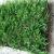 Искусственная трава Ideal Evergreen grass