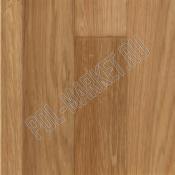 Линолеум Tarkett Acczent pro Oak 01