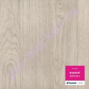Линолеум Tarkett Фаворит Norton 6