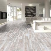 Ламинат Eurowood Purus 45365/2902 Ясень молодой