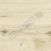 Клеевая пробка CorkStyle Wood oak virginia white