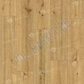 Каменно-полимерная плитка SPC Alpine floor (Classen) Pro Nature 62541 Soacha