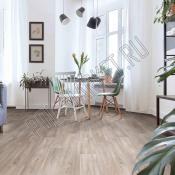 Линолеум Profi Master Havanna oak 1