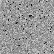 Линолеум Vertigo Barnett VBS3 14 Whale Gray