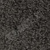 Ковровая плитка Bonkeel Priscus  99