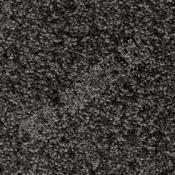 Ковровая плитка Bonkeel Crixus 99