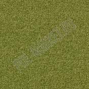 Ковролин коммерческий AW Maxima 21