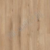 SPC ламинат Tarkett Prime click  Hazel brown