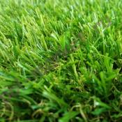 Искусственная трава Ideal Evergreen grass