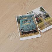 Клеевая пвх плитка Refloor Home WS 714 дуб агнес