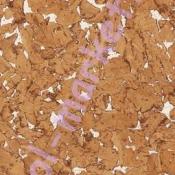 Настенная пробка Wicanders Dekwall RY77002 hawai white
