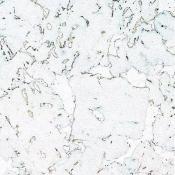 Настенная пробка Wicanders Dekwall RY77001 hawai white exclusive