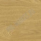 Клеевая пробка Corkstyle Wood XL oak deluxe