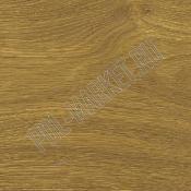 Клеевая пробка Corkstyle Wood XL oak knotty