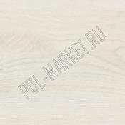 Клеевая пробка CorkStyle Wood oak polar white